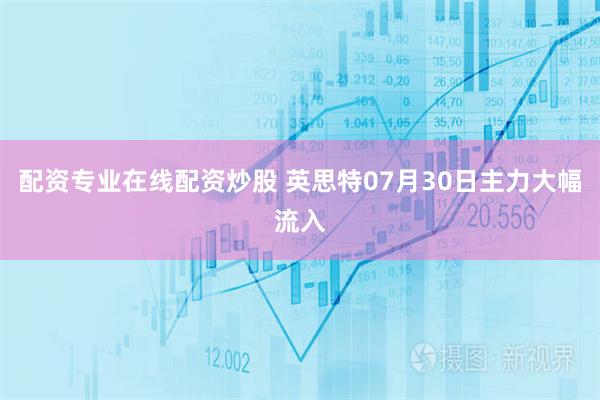 配资专业在线配资炒股 英思特07月30日主力大幅流入